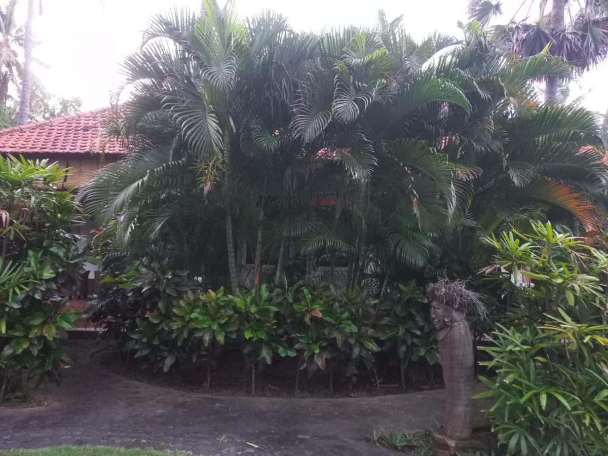 Bali North Beach B&B Tianyar Exteriér fotografie
