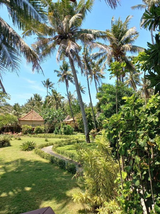 Bali North Beach B&B Tianyar Exteriér fotografie